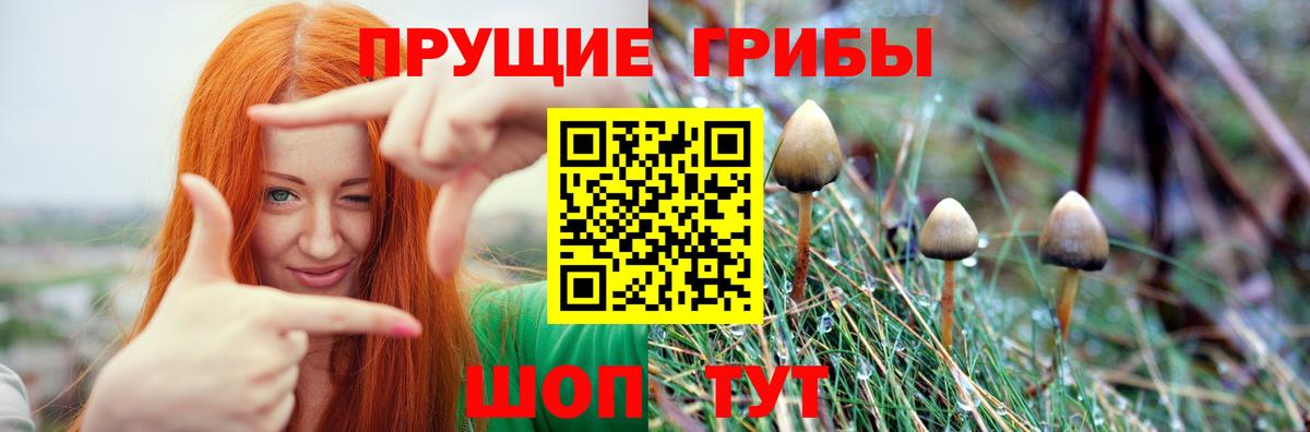 Галлюциногенные грибы ЛСД  Вход с VPN  Псилоцибиновые грибы прущие грибы  Нововоронеж 
