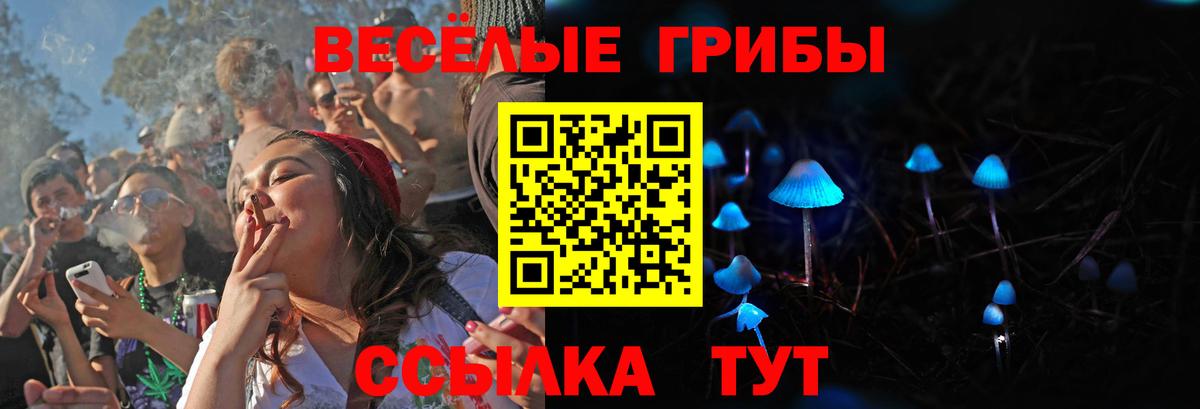 Псилоцибиновые грибы Cubensis Нововоронеж